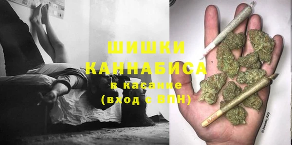 дурь Ельня