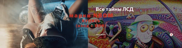 дурь Ельня