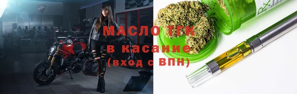 дурь Ельня