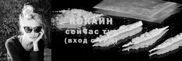 ECSTASY Елизово