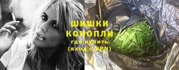дурь Ельня