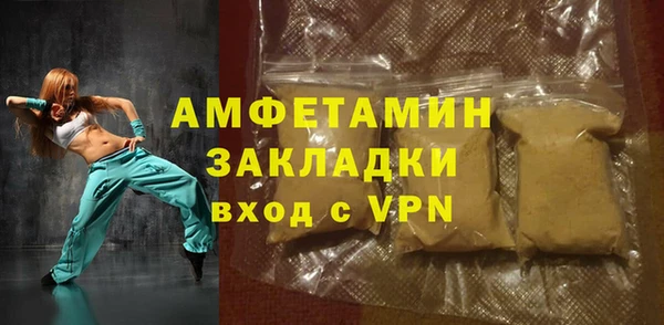 дурь Ельня