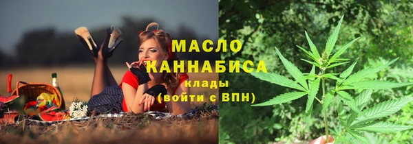 дурь Ельня