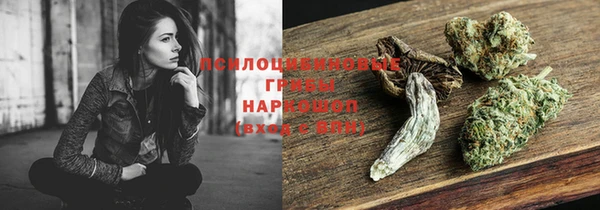 дурь Ельня