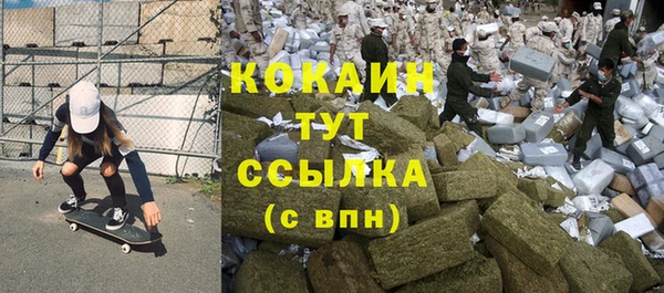 дурь Ельня