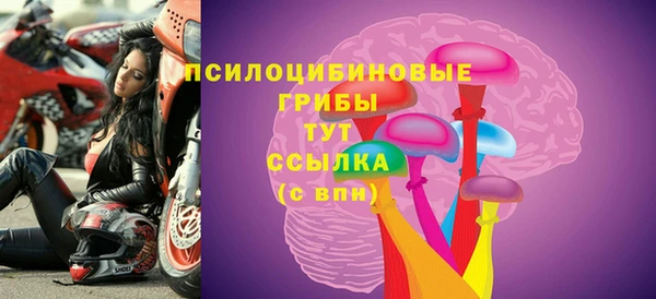 ECSTASY Елизово