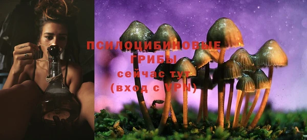 ECSTASY Елизово