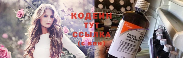 ECSTASY Елизово