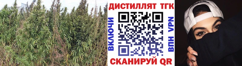 Купить  Приморско-Ахтарск  ТГК Wax 