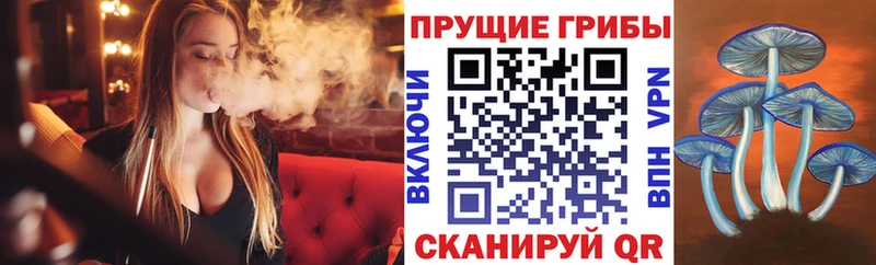 Псилоцибиновые грибы мицелий  Купить закладки  Приморско-Ахтарск 