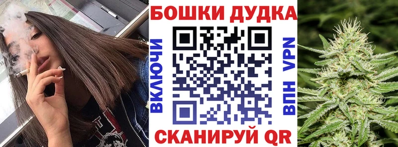 Конопля Amnesia  Купить где  Приморско-Ахтарск 
